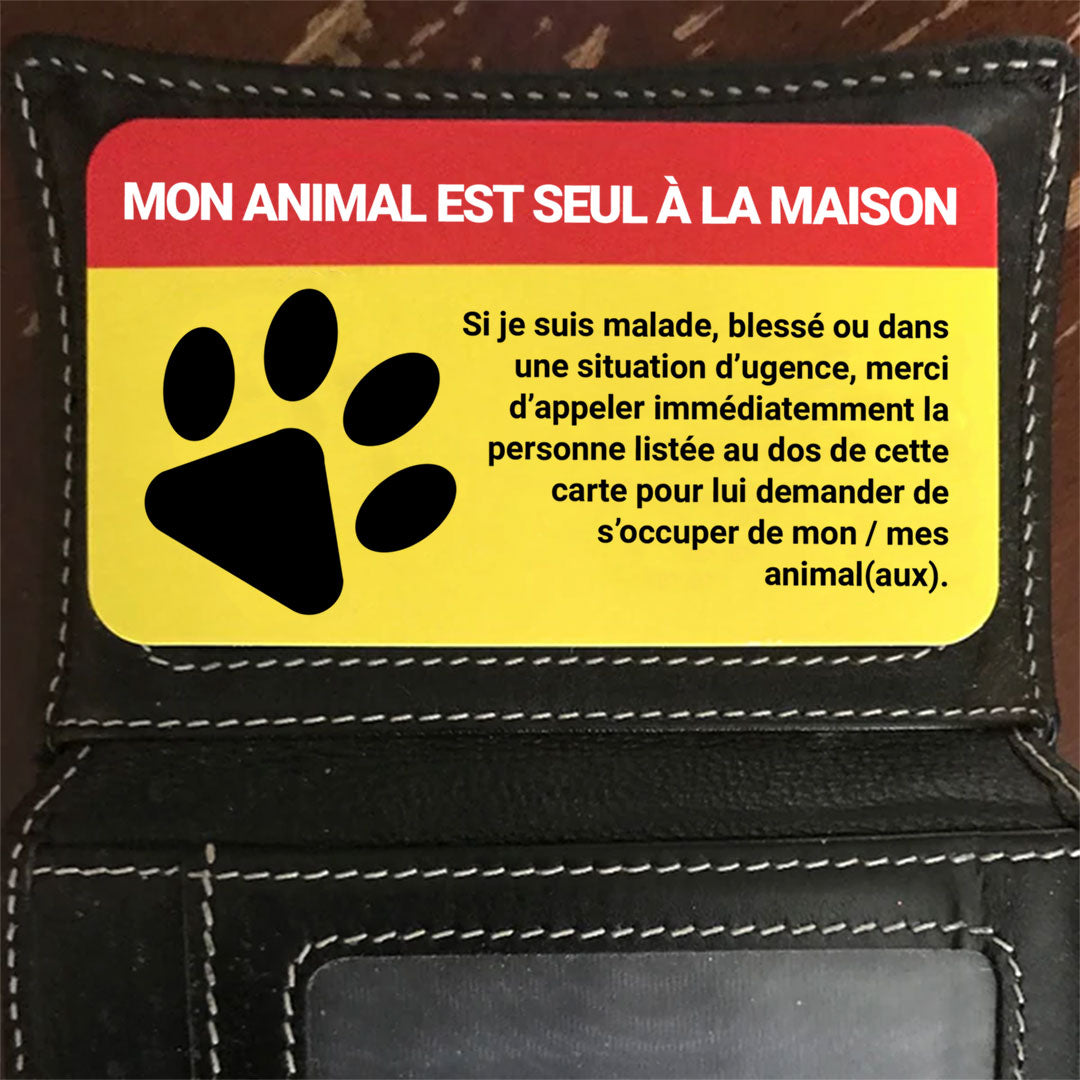 PetSafe - Porte pour Animaux pour Conditions Cli…